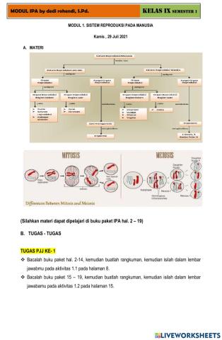 Modul Alat Reproduksi Manusia