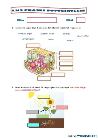 LKPD Proses Fotosintesis