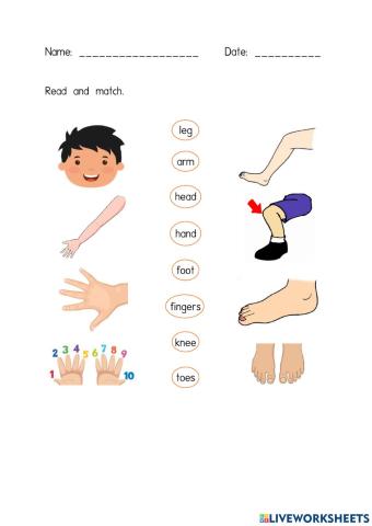 Parts of Body (The Robot) - Year 2