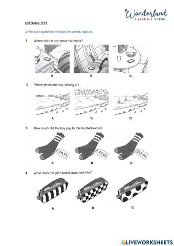 Pet listening mid year test