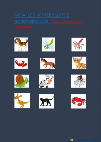 Animales vertebrados e invertebrados