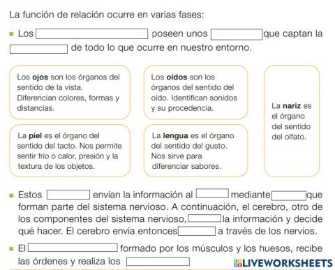 Cómo ocurre la función de relación