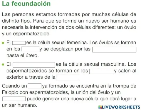 La fecundación