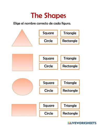The Shapes