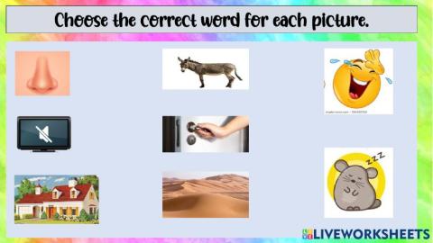 Label the pictures correctly- Phonics Lesson -4