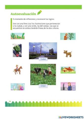 Unir con lineas ciudad y campo