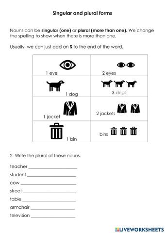 Singular  plural forms