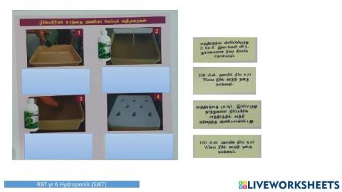 Hidroponic RBT yr 6 (Tamil)