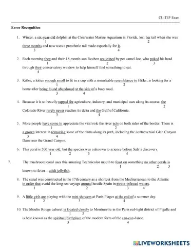 Error Identification