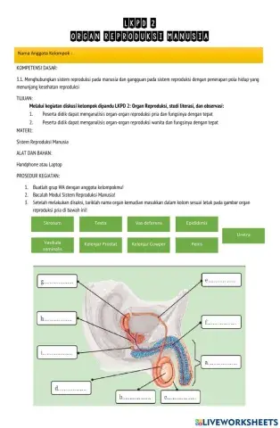 LKPD 2 Organ Reproduksi Manusia