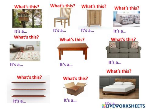 CP3-the treehouse - Vocabulary