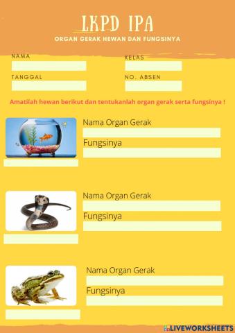 Organ Gerak Hewan dan Fungsinya