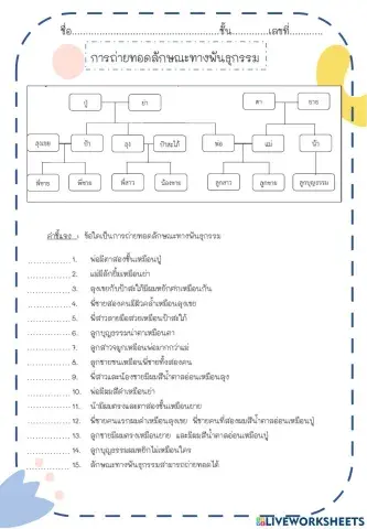 การถ่ายทอดลักษณะทางพันธุกรรม ป.5