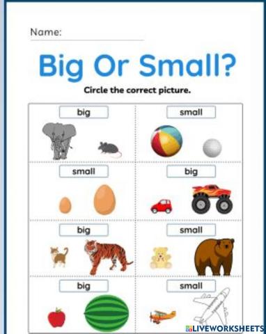 Big or Small