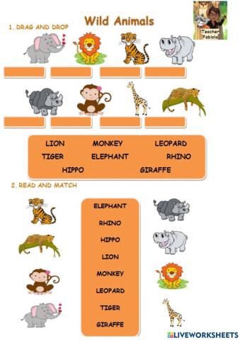 Wild animals