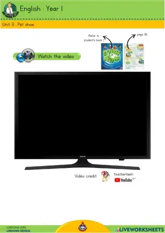 English Y1 - Pet show 5