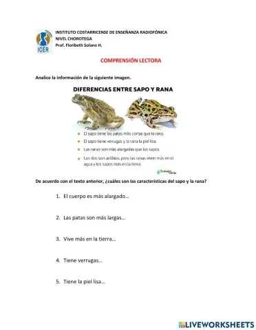 Comprensión lectora 1