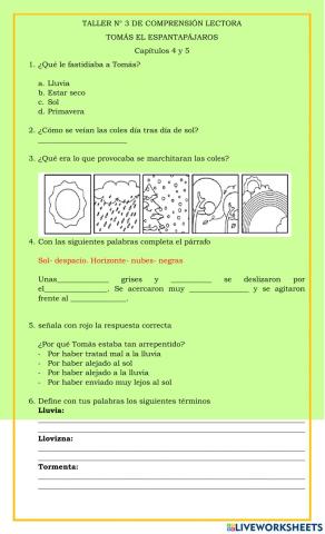 Tomas espantapájaros taller tres