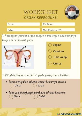 Worksheet organ reproduksi