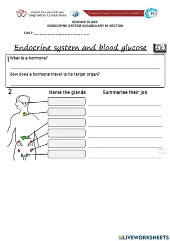 Endocrine System