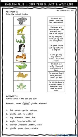Unit 3: Wild Life