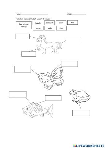 Bahagian tubuh haiwan