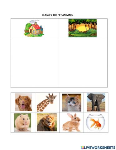Classif the pet animals