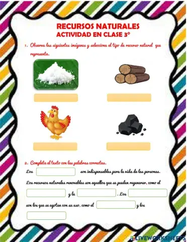 Los Recursos Naturales