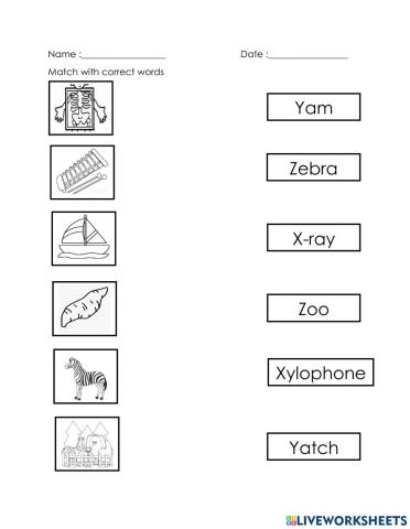 Words starts with letter x,y,z