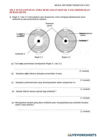 Bhg a - mikroorganisma