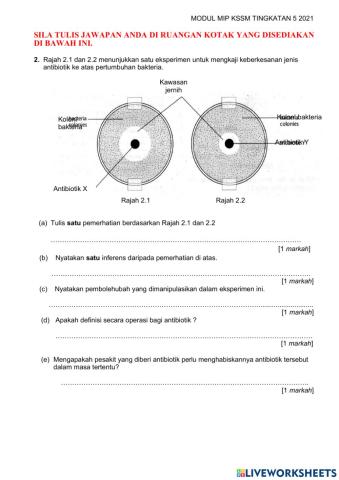 Bhg a - mikroorganisma