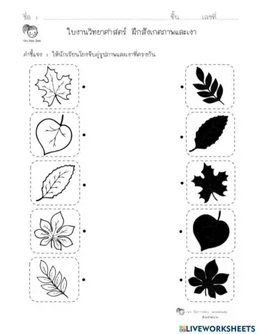 จับคู่ใบไม้กับเงา