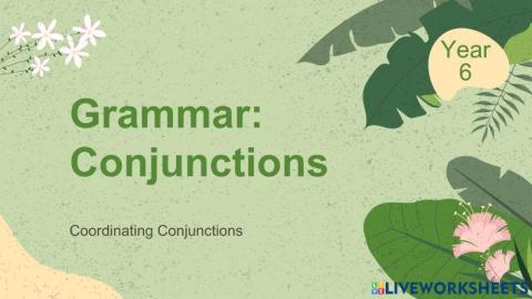 Coordinating Conjunction
