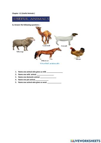 Useful Animals
