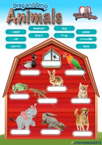 Drag and drop Animals