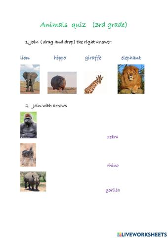 Animals quiz 3rd grade
