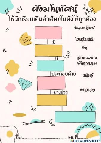 ผังมโนทัศน์ความสัมพันธ์เซลล์ นิวเคลียส โครโมโซม...