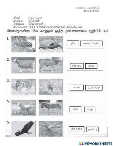 அறிவியல் விலங்கு