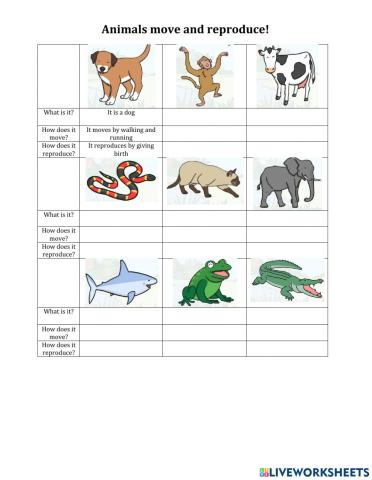 Living Things move and reproduce