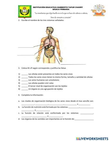 Organización del ser vivo