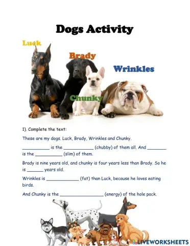 Doogs activity