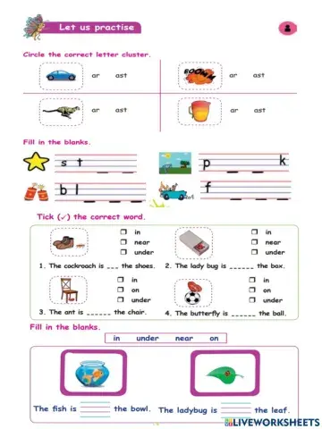 The proud dragonfly 2