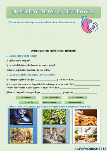Sistema Circulatorio