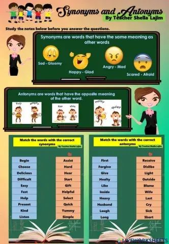 Synonym and Antonym