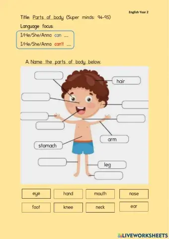 English Year 2 Page94-95