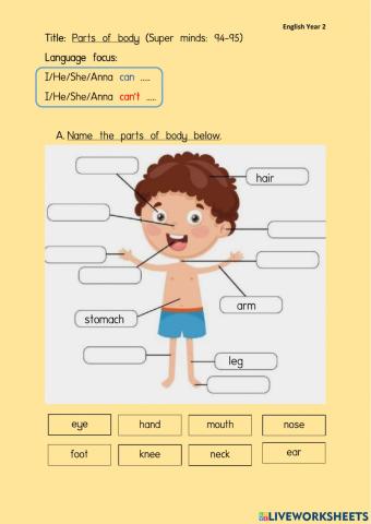 English Year 2 Page94-95