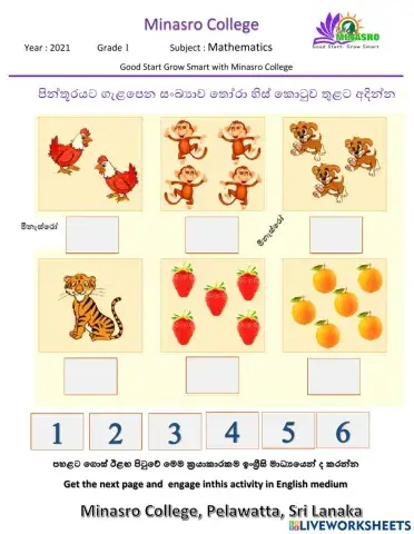 Minasro college grade 1 mathematics