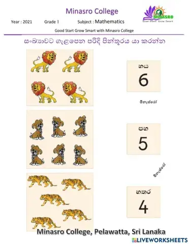 Minasro college G1 mathematics