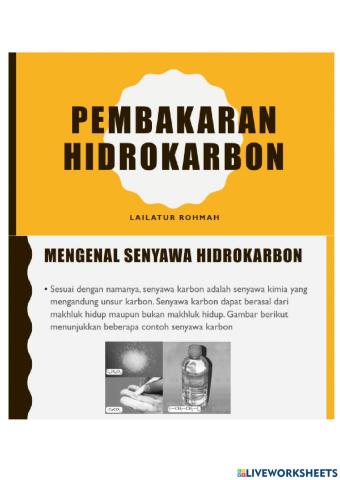 LK Pembakaran Hidrokarbon
