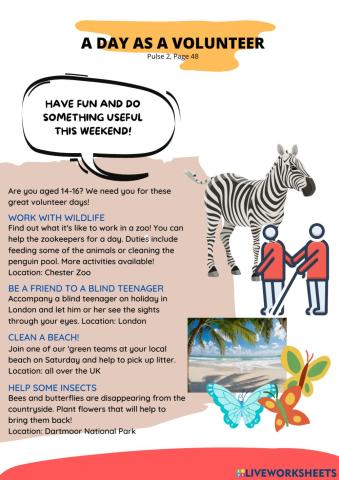 A day as a volunteer